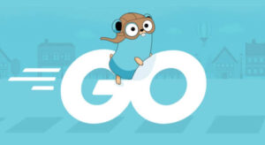Curs Golang (Go) Programming – Advanced